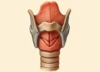 МРТ гортани на Каширском шоссе