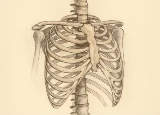 МРТ грудного отдела на Каширском шоссе