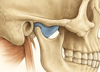 МРТ височно-челюстного сустава