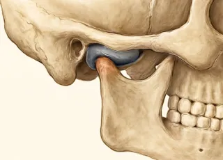 МРТ височно-нижнечелюстного сустава