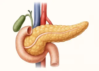 МРТ поджелудочной железы