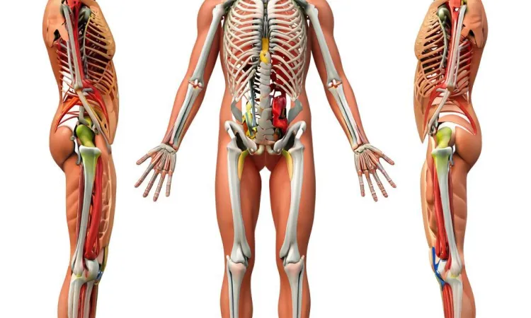 Артрит: симптомы и лечение заболевания