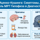 Болезнь Иценко-Кушинга: когда гормоны становятся ядом