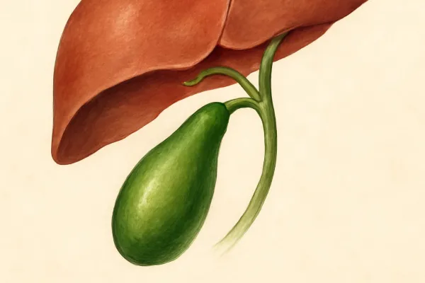 МРТ желчного пузыря на Каширском шоссе